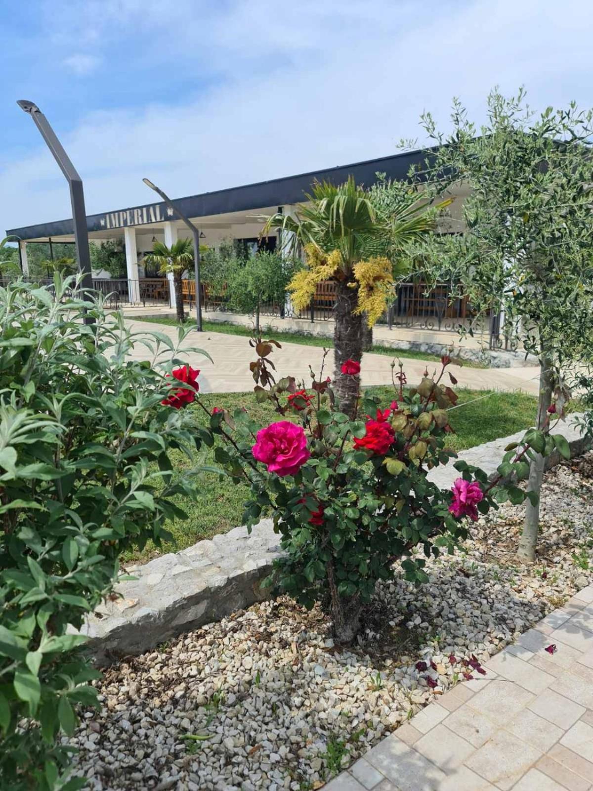 Imperial Family Resort Ούλτσιν Εξωτερικό φωτογραφία
